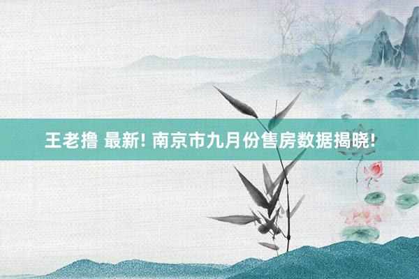 王老撸 最新! 南京市九月份售房数据揭晓!