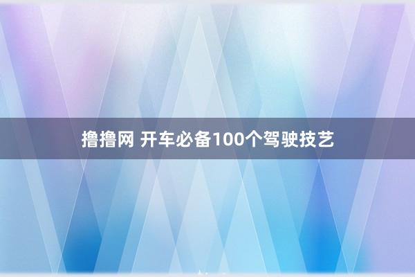 撸撸网 开车必备100个驾驶技艺