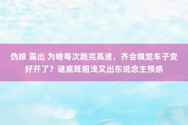 伪娘 露出 为啥每次跑完高速，齐会嗅觉车子变好开了？谜底既粗浅又出东说念主预感