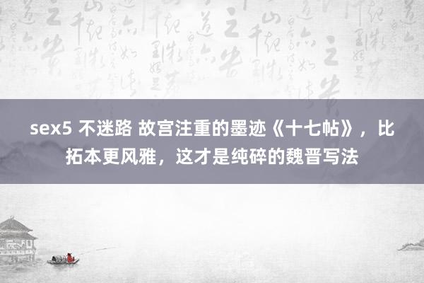 sex5 不迷路 故宫注重的墨迹《十七帖》，比拓本更风雅，这才是纯碎的魏晋写法