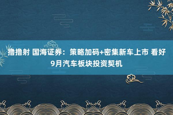 撸撸射 国海证券：策略加码+密集新车上市 看好9月汽车板块投资契机