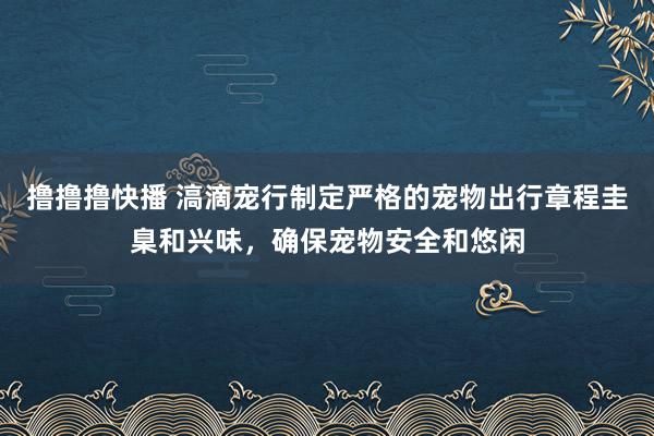 撸撸撸快播 滈滴宠行制定严格的宠物出行章程圭臬和兴味，确保宠物安全和悠闲