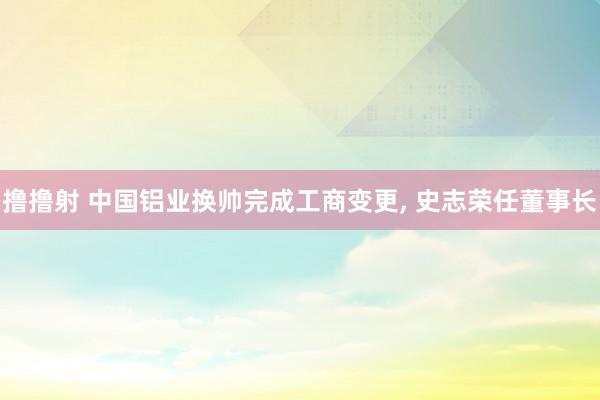 撸撸射 中国铝业换帅完成工商变更， 史志荣任董事长