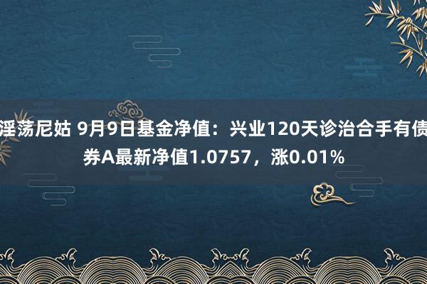 淫荡尼姑 9月9日基金净值：兴业120天诊治合手有债券A最新净值1.0757，涨0.01%