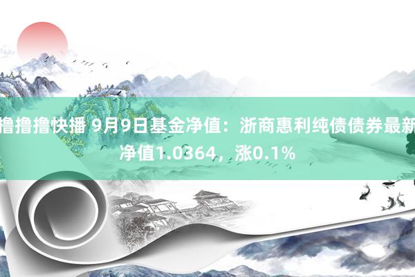 撸撸撸快播 9月9日基金净值：浙商惠利纯债债券最新净值1.0364，涨0.1%