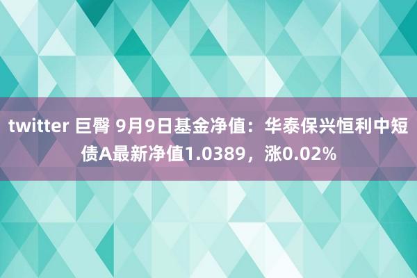 twitter 巨臀 9月9日基金净值：华泰保兴恒利中短债A最新净值1.0389，涨0.02%