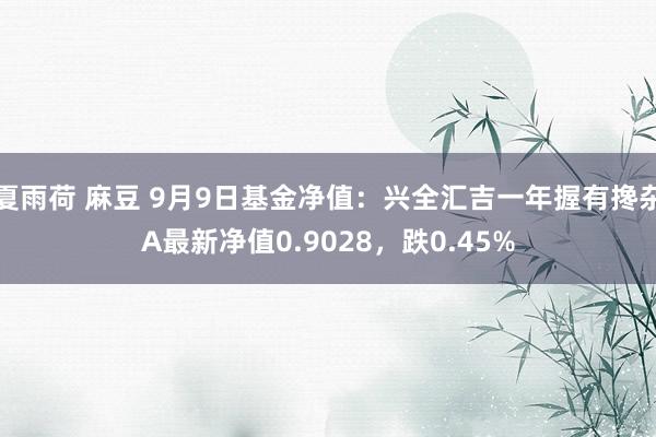 夏雨荷 麻豆 9月9日基金净值：兴全汇吉一年握有搀杂A最新净值0.9028，跌0.45%