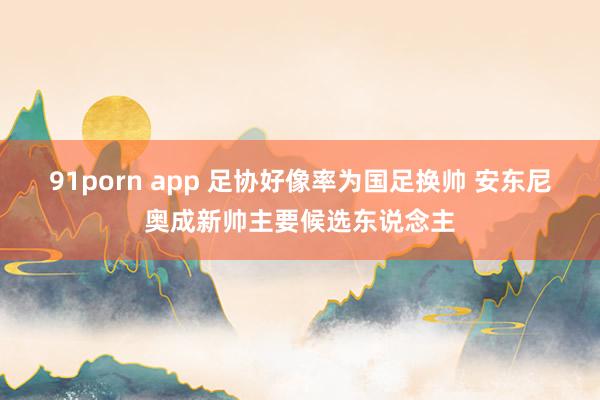 91porn app 足协好像率为国足换帅 安东尼奥成新帅主要候选东说念主