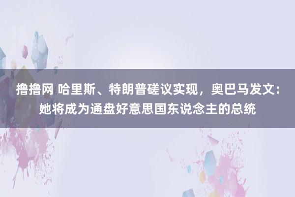 撸撸网 哈里斯、特朗普磋议实现，奥巴马发文：她将成为通盘好意思国东说念主的总统