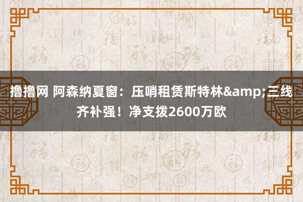 撸撸网 阿森纳夏窗：压哨租赁斯特林&三线齐补强！净支拨2600万欧