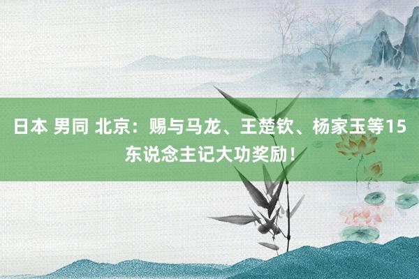 日本 男同 北京：赐与马龙、王楚钦、杨家玉等15东说念主记大功奖励！