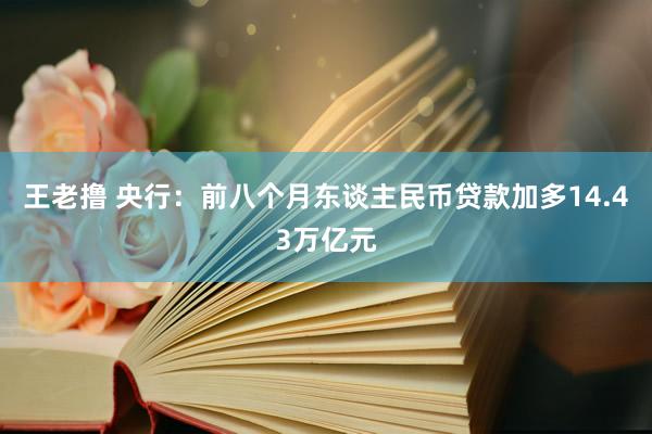 王老撸 央行：前八个月东谈主民币贷款加多14.43万亿元