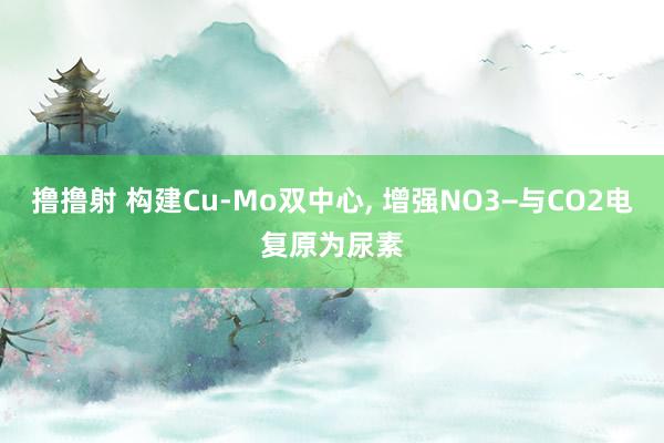 撸撸射 构建Cu-Mo双中心， 增强NO3−与CO2电复原为尿素