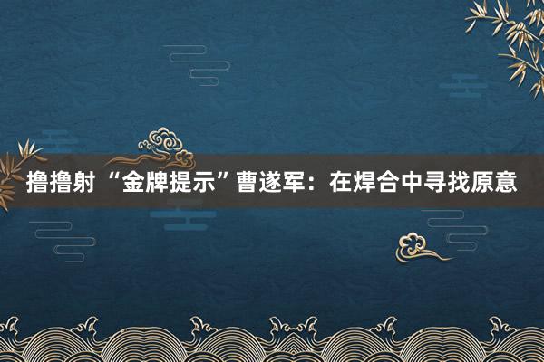 撸撸射 “金牌提示”曹遂军：在焊合中寻找原意