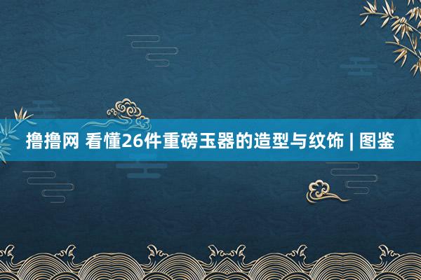 撸撸网 看懂26件重磅玉器的造型与纹饰 | 图鉴