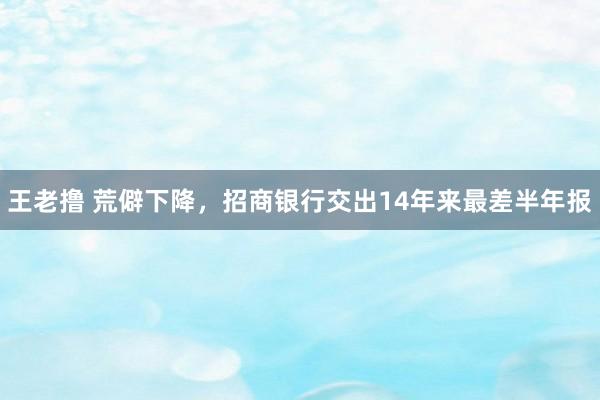 王老撸 荒僻下降，招商银行交出14年来最差半年报