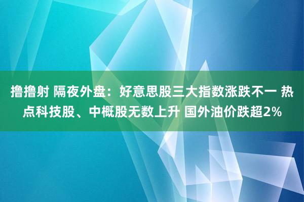 撸撸射 隔夜外盘：好意思股三大指数涨跌不一 热点科技股、中概股无数上升 国外油价跌超2%