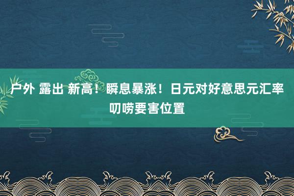 户外 露出 新高！瞬息暴涨！日元对好意思元汇率叨唠要害位置