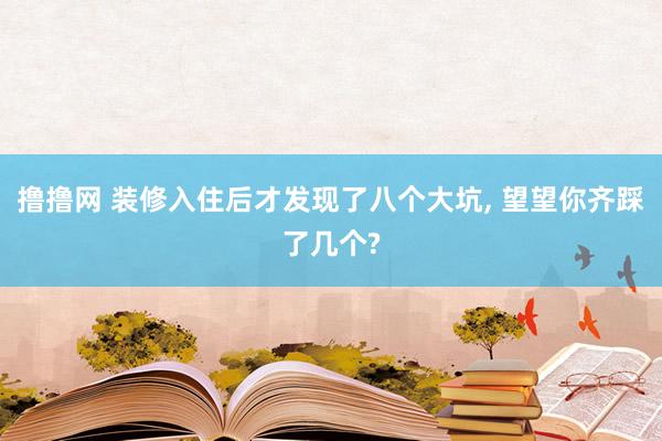 撸撸网 装修入住后才发现了八个大坑， 望望你齐踩了几个?