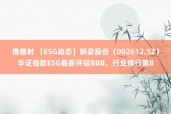 撸撸射 【ESG动态】朗姿股份（002612.SZ）华证指数ESG最新评级BBB，行业排行第8