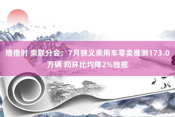 撸撸射 乘联分会：7月狭义乘用车零卖推测173.0万辆 同环比均降2%独揽