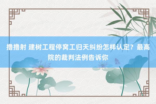 撸撸射 建树工程停窝工归天纠纷怎样认定？最高院的裁判法例告诉你