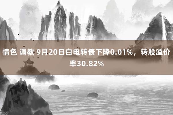 情色 调教 9月20日白电转债下降0.01%，转股溢价率30.82%