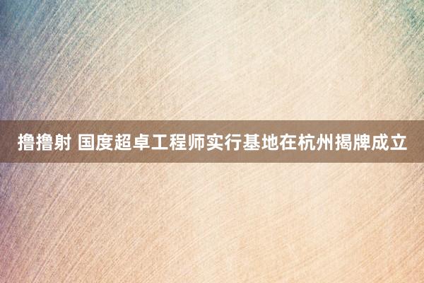 撸撸射 国度超卓工程师实行基地在杭州揭牌成立