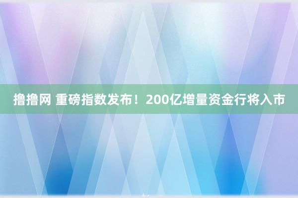 撸撸网 重磅指数发布！200亿增量资金行将入市