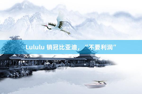 Lululu 销冠比亚迪，“不要利润”