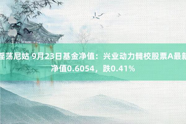 淫荡尼姑 9月23日基金净值：兴业动力雠校股票A最新净值0.6054，跌0.41%