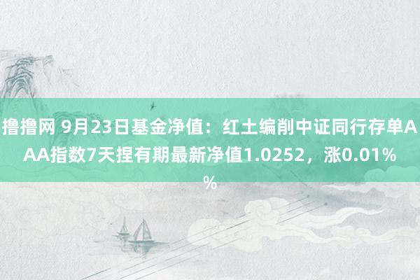 撸撸网 9月23日基金净值：红土编削中证同行存单AAA指数7天捏有期最新净值1.0252，涨0.01%