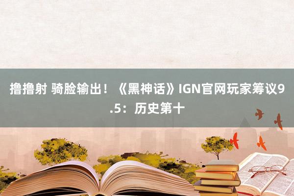 撸撸射 骑脸输出！《黑神话》IGN官网玩家筹议9.5：历史第十