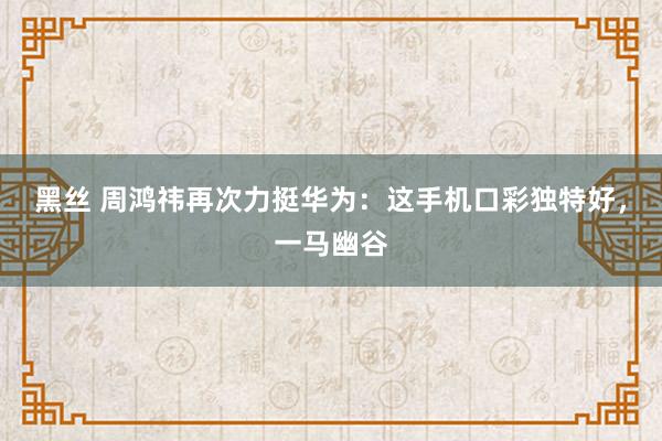 黑丝 周鸿祎再次力挺华为：这手机口彩独特好，一马幽谷