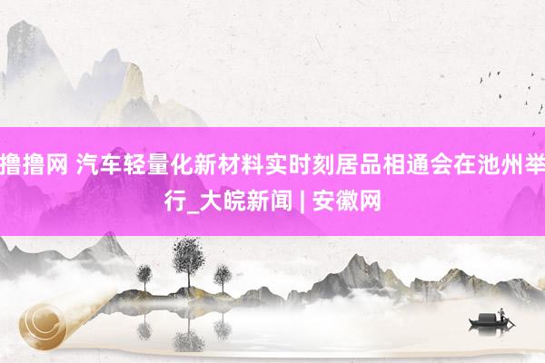 撸撸网 汽车轻量化新材料实时刻居品相通会在池州举行_大皖新闻 | 安徽网