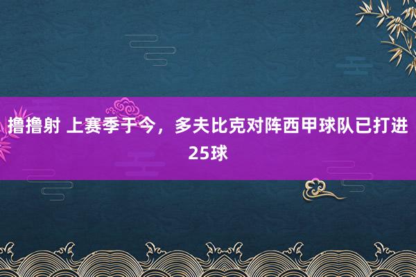 撸撸射 上赛季于今，多夫比克对阵西甲球队已打进25球