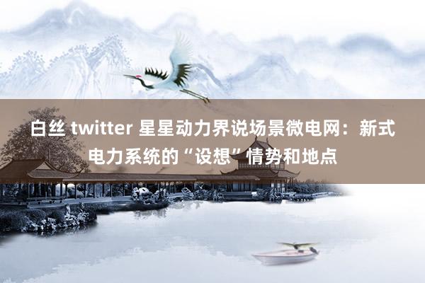 白丝 twitter 星星动力界说场景微电网：新式电力系统的“设想”情势和地点