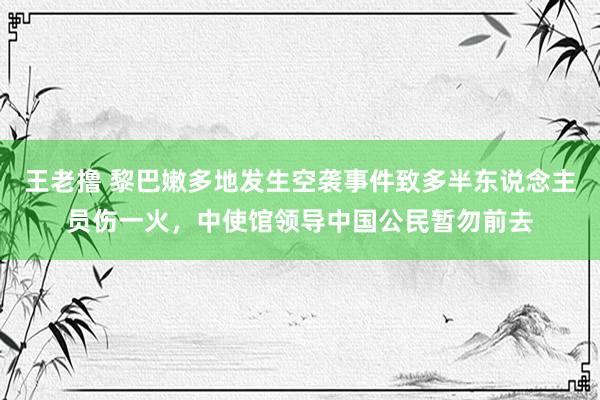 王老撸 黎巴嫩多地发生空袭事件致多半东说念主员伤一火，中使馆领导中国公民暂勿前去