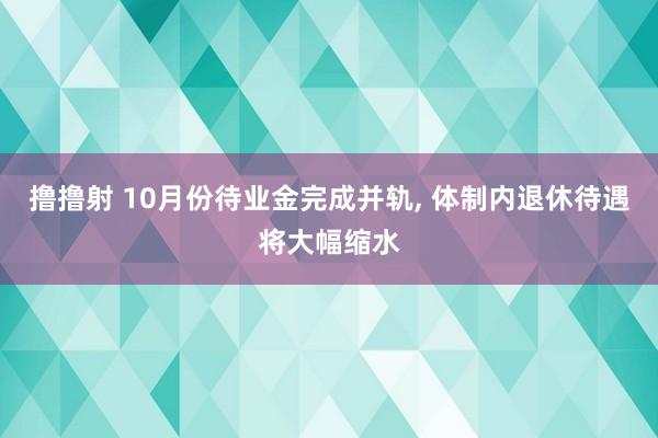 撸撸射 10月份待业金完成并轨， 体制内退休待遇将大幅缩水