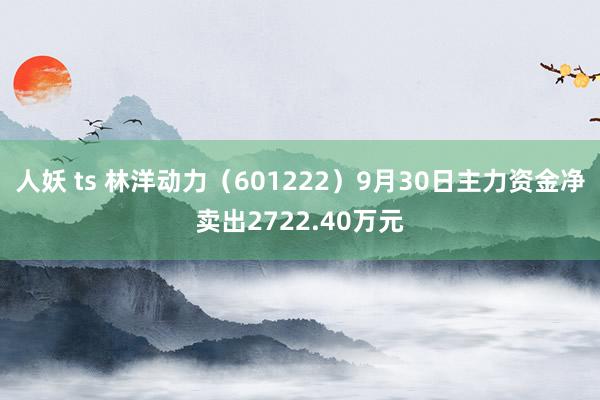 人妖 ts 林洋动力（601222）9月30日主力资金净卖出2722.40万元