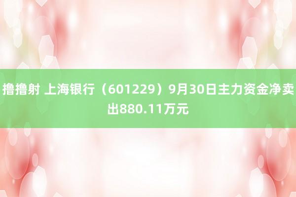 撸撸射 上海银行（601229）9月30日主力资金净卖出880.11万元