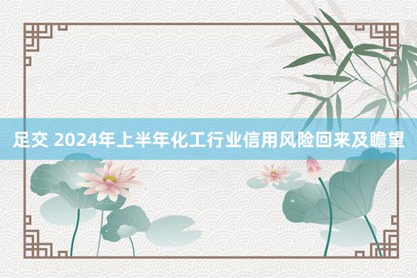 足交 2024年上半年化工行业信用风险回来及瞻望