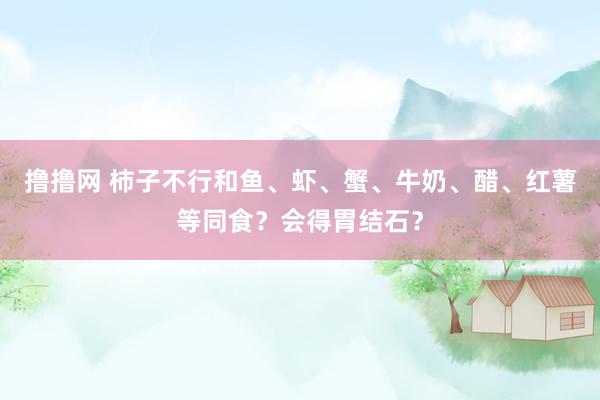 撸撸网 柿子不行和鱼、虾、蟹、牛奶、醋、红薯等同食？会得胃结石？