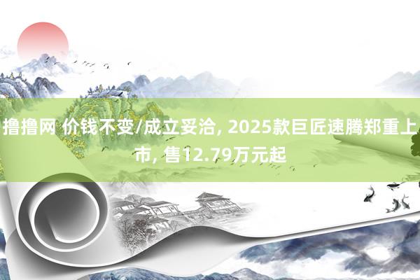 撸撸网 价钱不变/成立妥洽， 2025款巨匠速腾郑重上市， 售12.79万元起