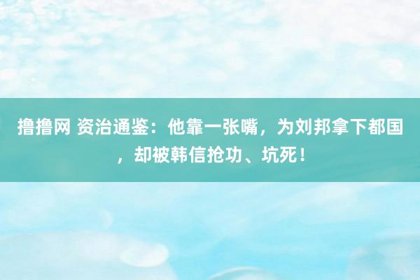 撸撸网 资治通鉴：他靠一张嘴，为刘邦拿下都国，却被韩信抢功、坑死！