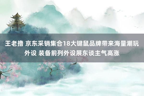 王老撸 京东采销集合18大键鼠品牌带来海量潮玩外设 装备前列外设展东谈主气高涨