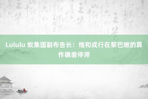 Lululu 蚁集国副布告长：维和戎行在黎巴嫩的算作确凿停滞