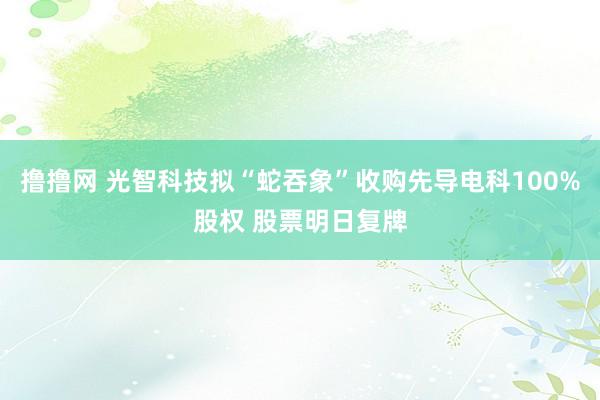 撸撸网 光智科技拟“蛇吞象”收购先导电科100%股权 股票明日复牌