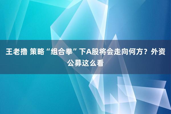 王老撸 策略“组合拳”下A股将会走向何方？外资公募这么看