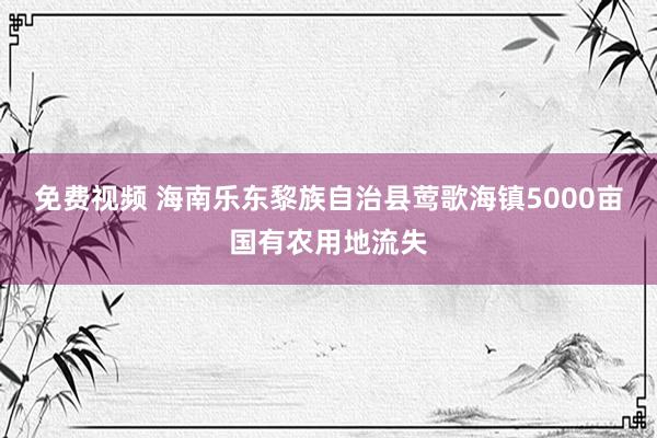 免费视频 海南乐东黎族自治县莺歌海镇5000亩国有农用地流失